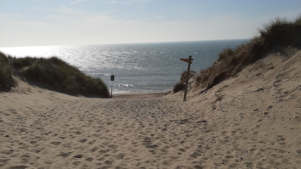 Una playa arenosa con dunas y una cruz de madera.