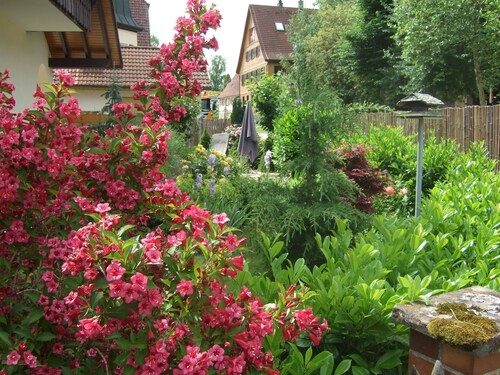 Vacation apartment, Altensteig/Garrweiler