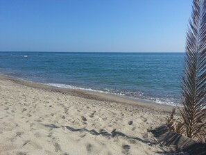 Ein sandiger Strand mit sanften Wellen, blauem Himmel und einer Palme.