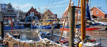 Summer sun North Sea! 2 minutes walk to the beach!