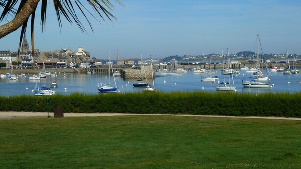 A marina with various boats docked, a palm tree, and a town in the background. - bright, contemporary new villa 2 minutes from beautiful beaches (Santec)
