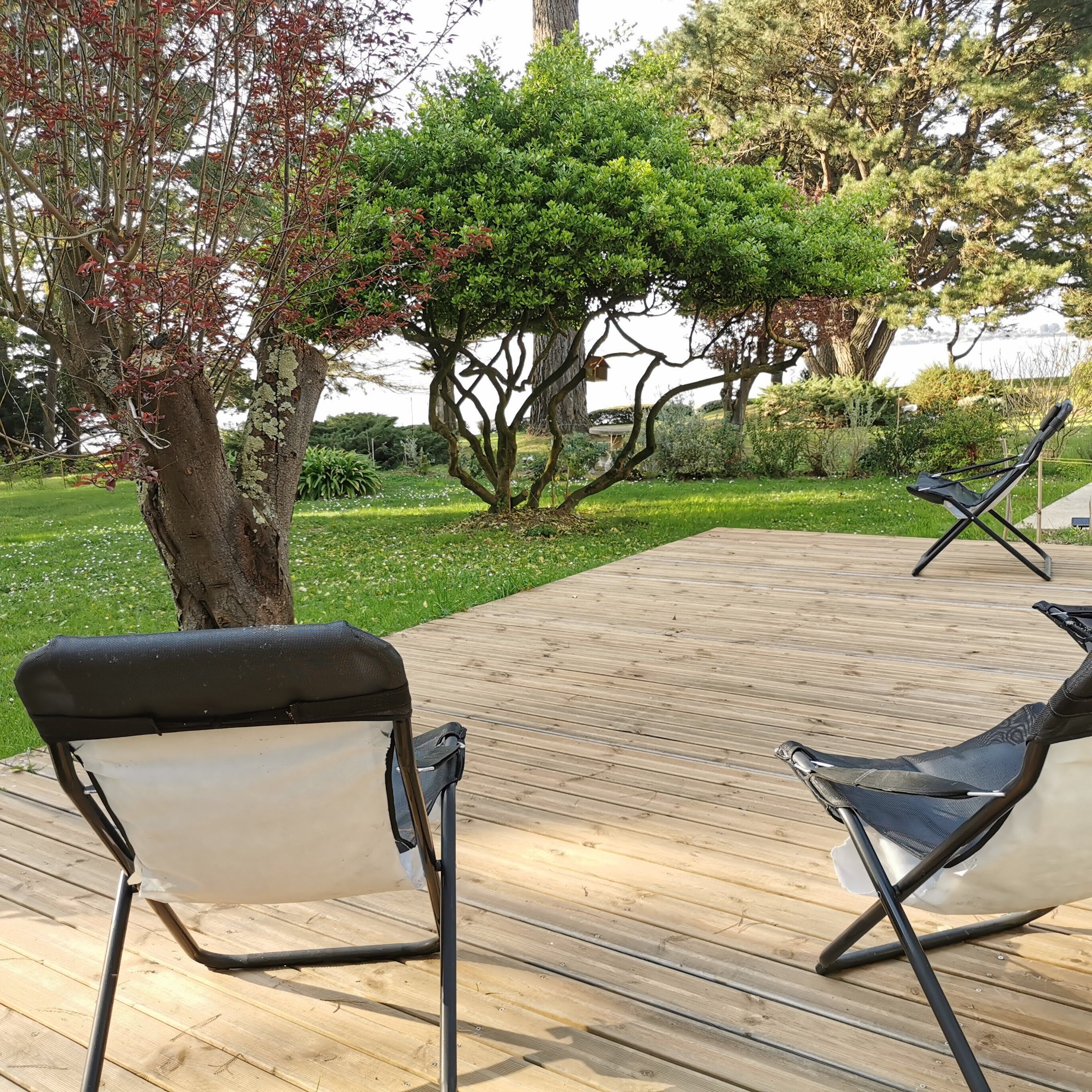 Eine Holzterrasse mit zwei schwarz-weißen Liegestühlen.