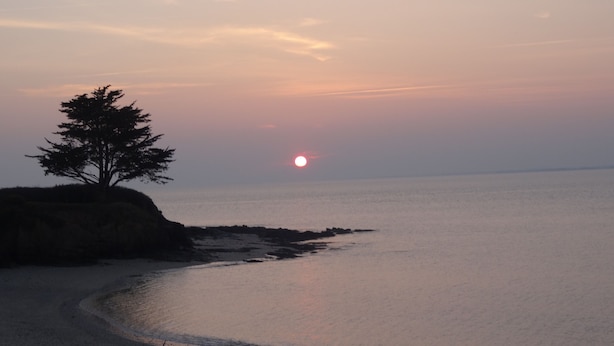 A beach with a tree on a cliff, calm water, and a sunset. - Nestled in a wooded park, with the beach just 3 minutes away (Pénestin)
