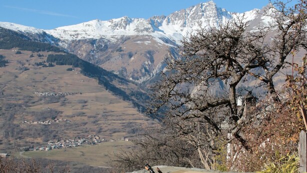 Une terrasse en bois avec des tables de pique-nique, offrant une vue sur un paysage montagneux.