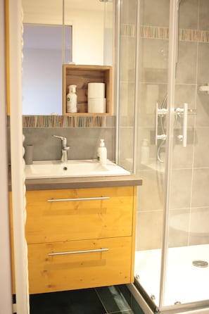 Shower, hair dryer, towels