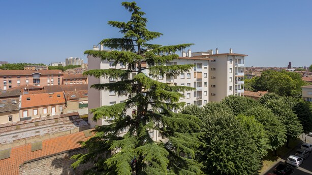 Un edificio de varios pisos con balcones, rodeado de árboles y otros edificios.