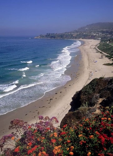 Newly remodeled, uniquely styled property surrounded by botanical-like garden setting.