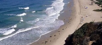 Newly remodeled, uniquely styled property surrounded by botanical-like garden setting.