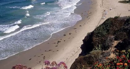 Newly remodeled, uniquely styled property surrounded by botanical-like garden setting.