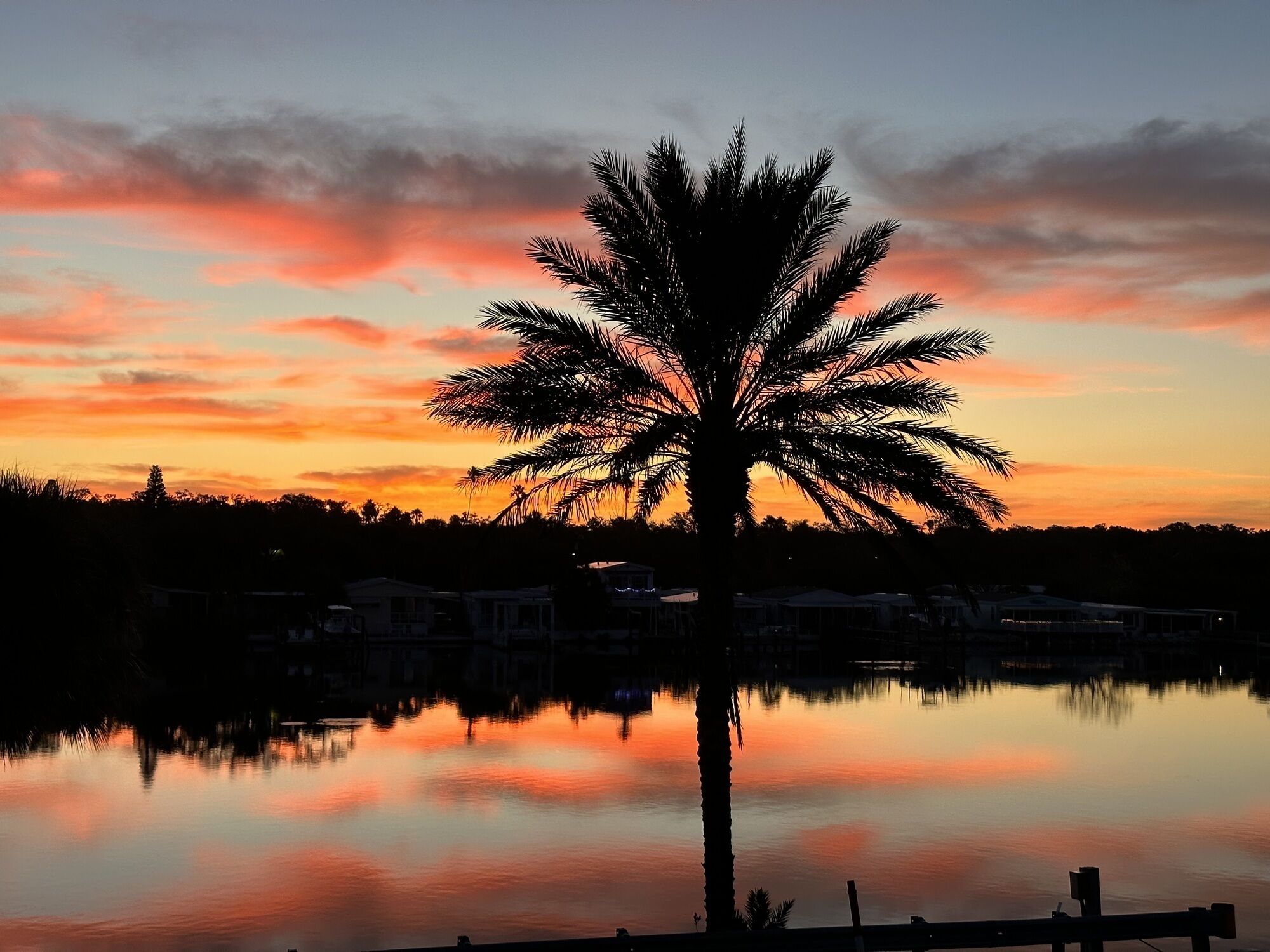 A palm tree silhouetted against a sunset with a calm lake reflecting the sky.