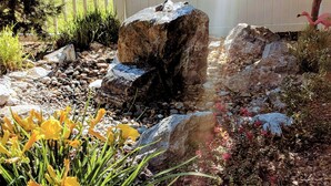 Un jardin avec une clôture blanche, des rochers et des fleurs jaunes.