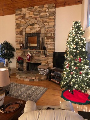 TV, fireplace
