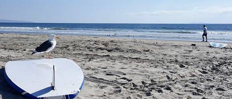 Plage à proximité, serviettes de plage