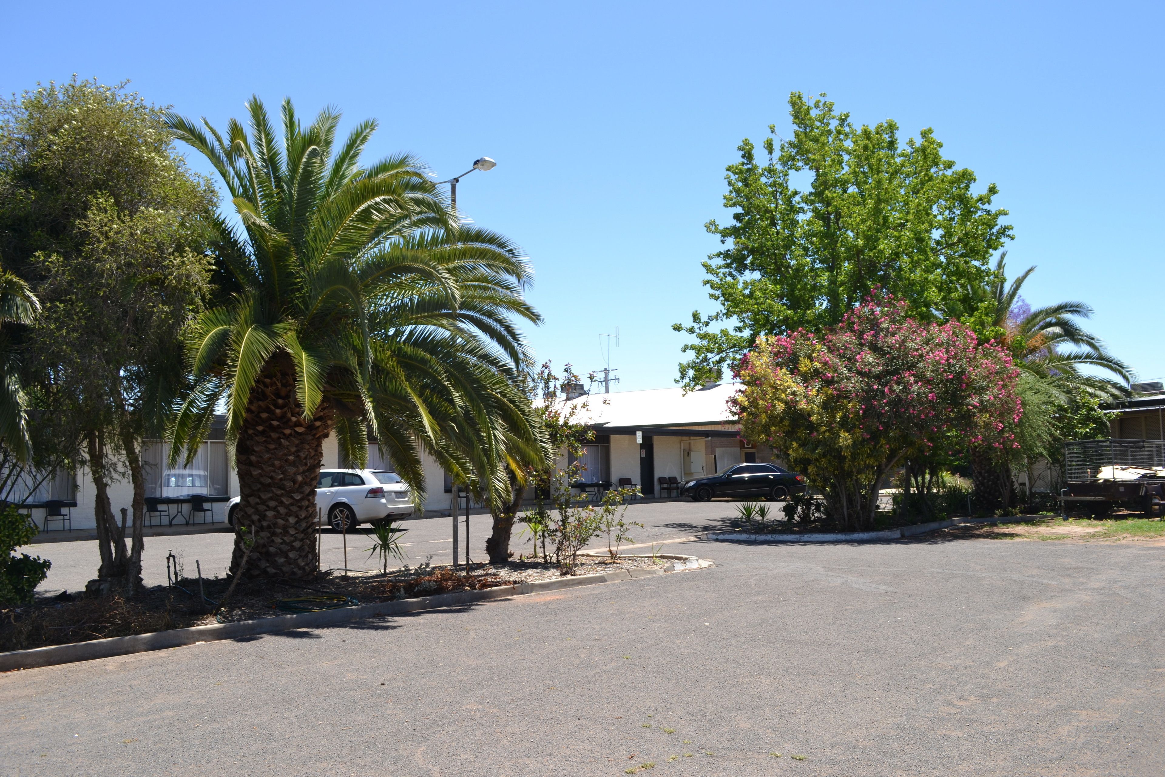 Estacionamiento gratis 