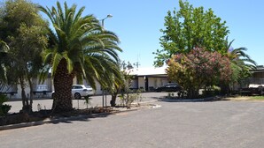 A parking lot with palm trees and a building with a white facade.