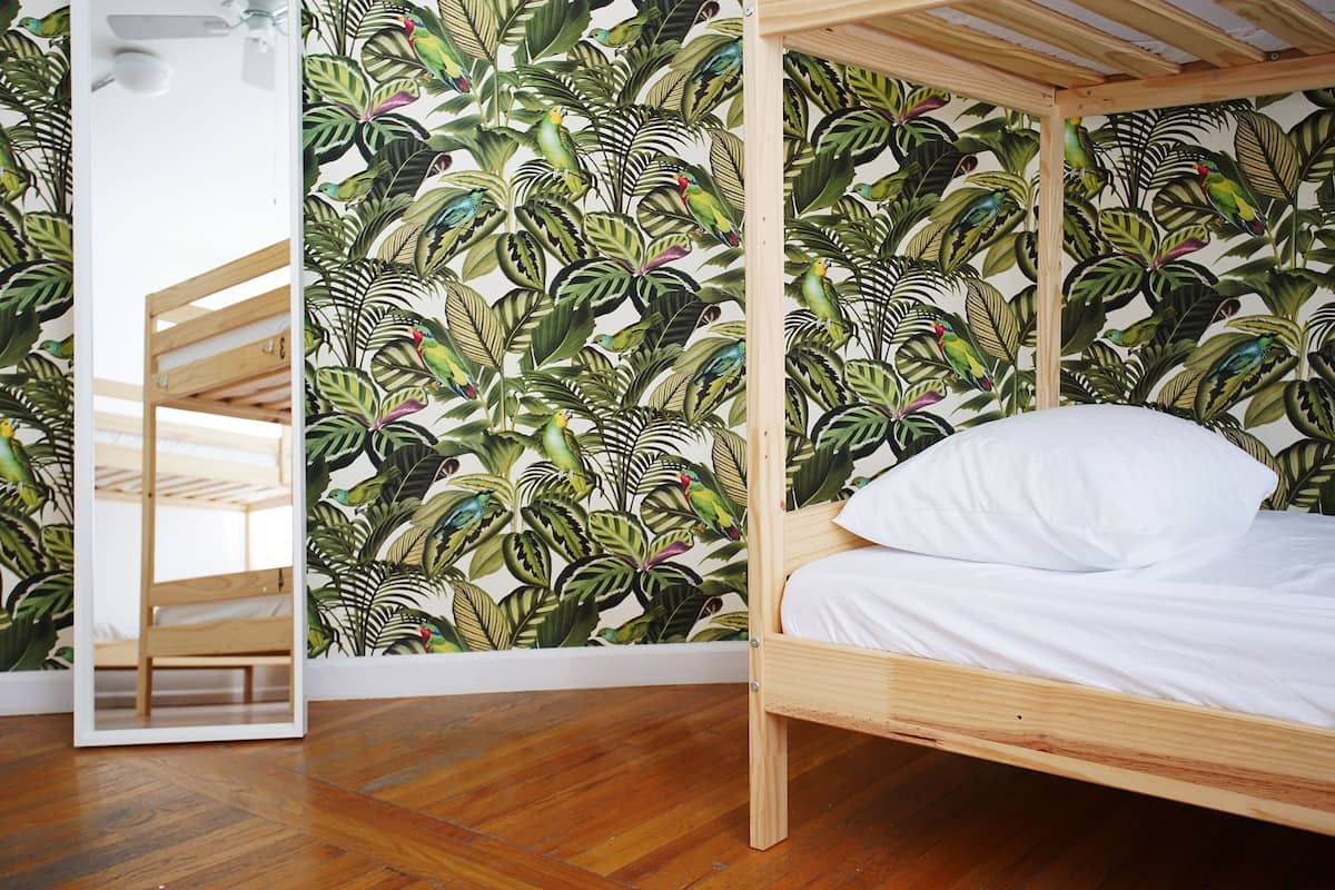 A room with a bunk bed, a wooden bench, and a wall with a tropical leaf pattern.