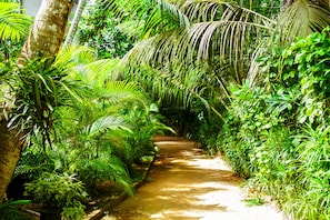 Garden - Seashore Mirissa (Mirissa)