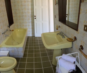 Comfort Room, Park View | Bathroom | Free toiletries, hair dryer, bidet, towels