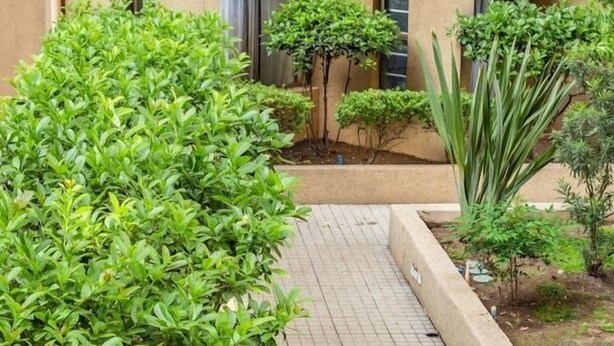 Exterior - Alojarent Huérfanos (Santiago)