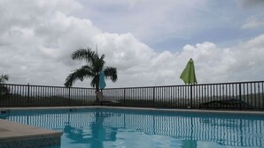 A swimming pool with a fence, a palm tree, and a green umbrella.