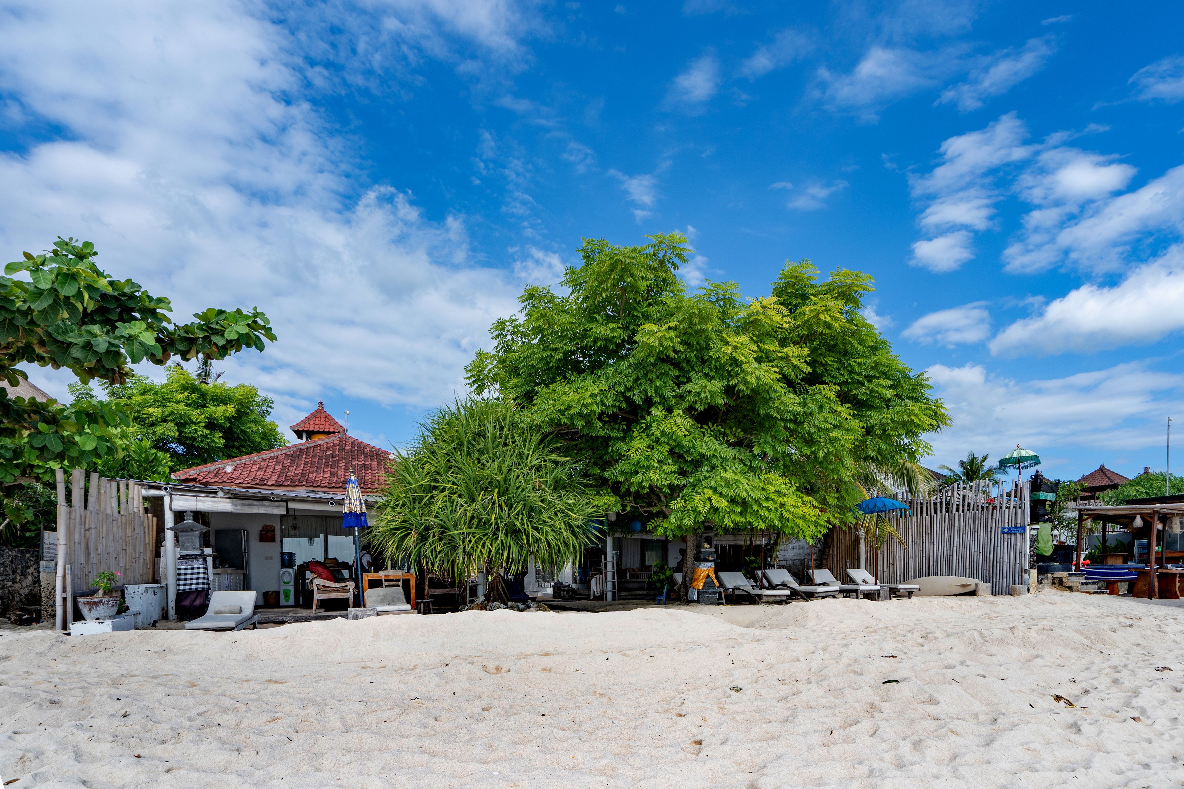 A beachside property with a covered patio, lounge chairs, and a large tree providing shade.