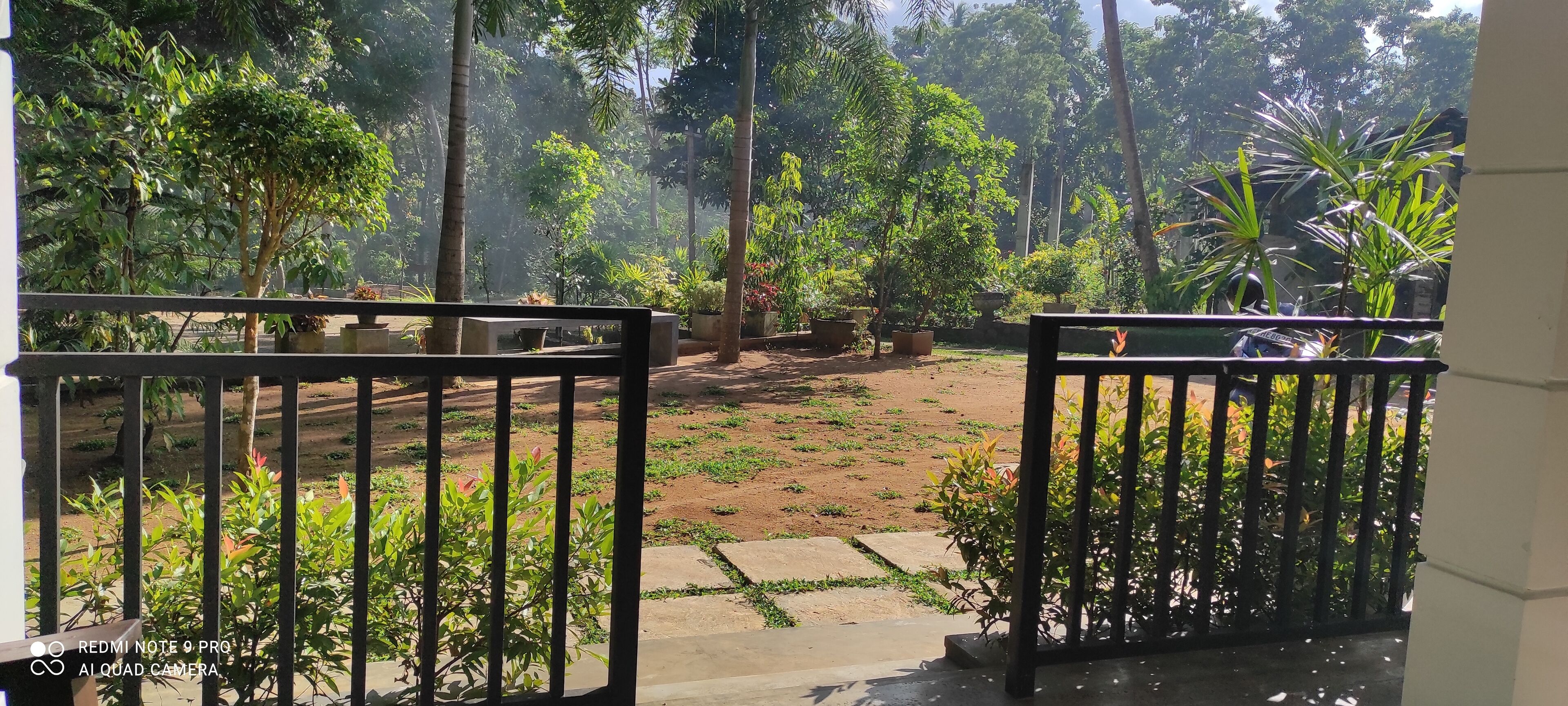 Un jardin avec une zone dallée et des plantes en pot.