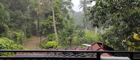 A lush, tropical garden with a variety of trees and plants, a dirt path, and a metal roof structure in the foreground.