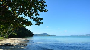 Ein Strand mit klarem Wasser, sandigem Ufer und einem bewaldeten Gebiet mit Bäumen.