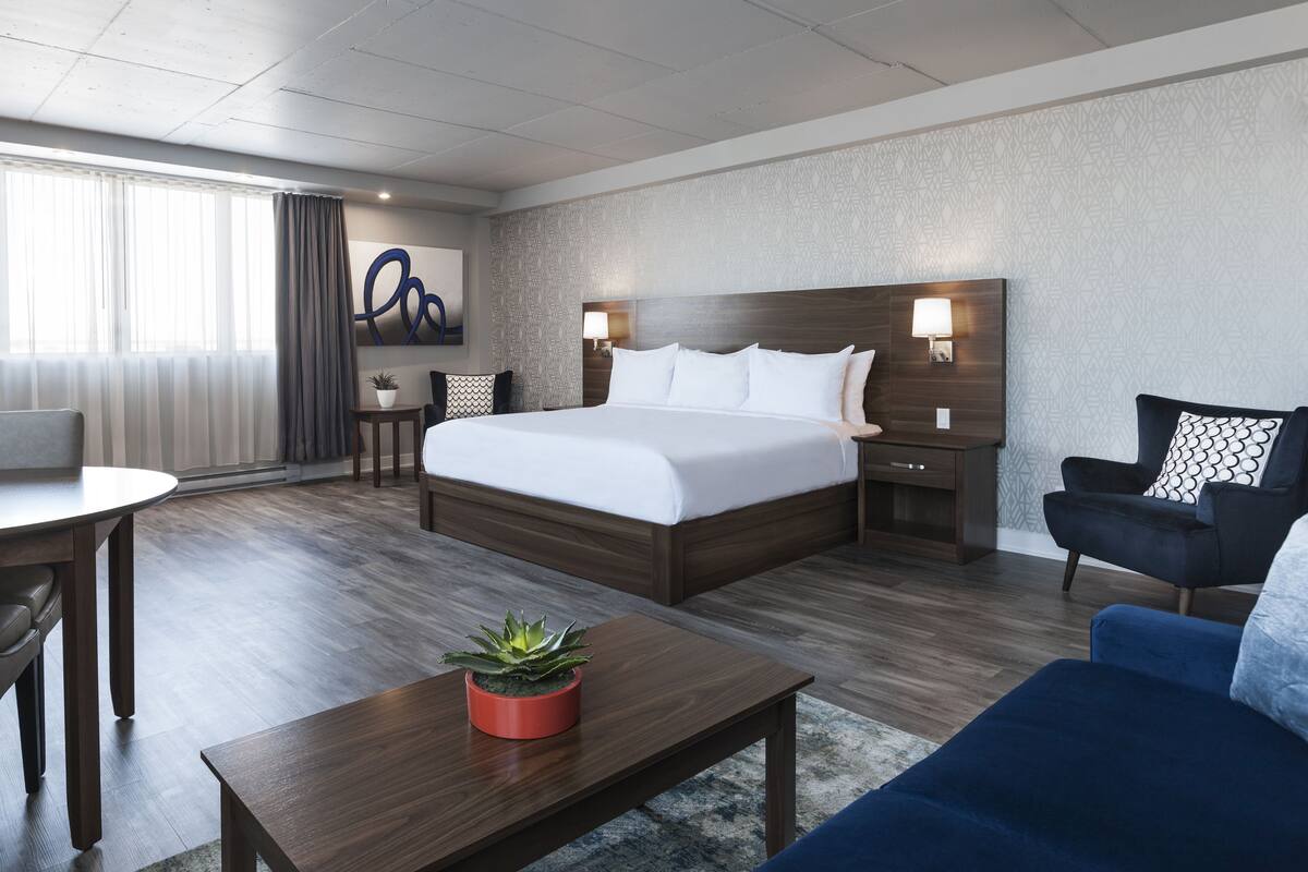 Una habitación de hotel con una cama grande, un escritorio, una silla, un sofá y una planta en maceta.