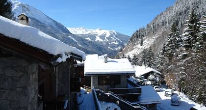 Chalet 10 Personen Champagny en Vanoise Skigebiet La Plagne Paradiski