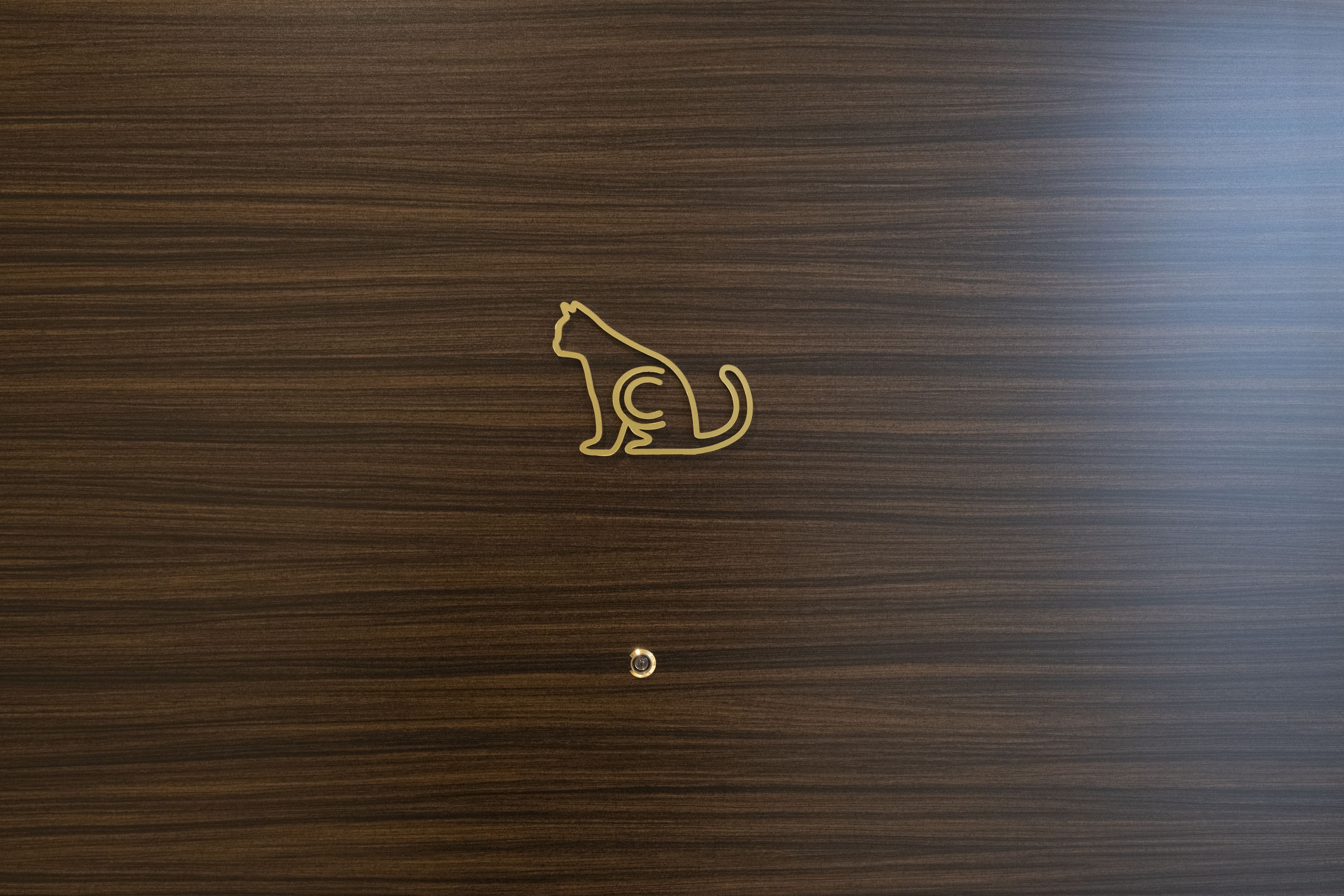 A wooden surface with a cat silhouette and a small circular object.
