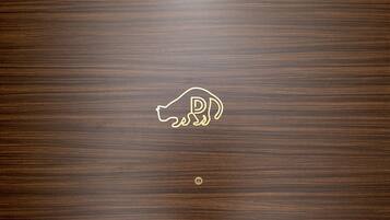 A wooden surface with a logo featuring a stylized animal and the letter "D".