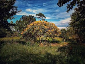 View from room - Finca Agrreste Bed & Breakfast (Nemocón)
