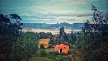 Down duvets, laptop workspace, free WiFi, bed sheets