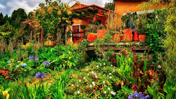 A garden with various plants and flowers, a wooden structure, and a building with a red roof. - Finca Agrreste Bed & Breakfast (Nemocón)