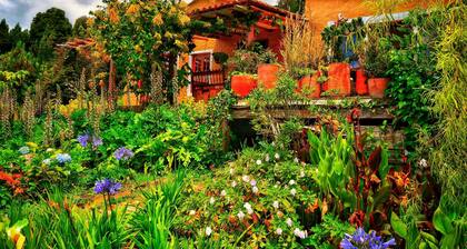 Finca Agrreste Bed & Breakfast