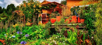 Finca Agrreste Bed & Breakfast
