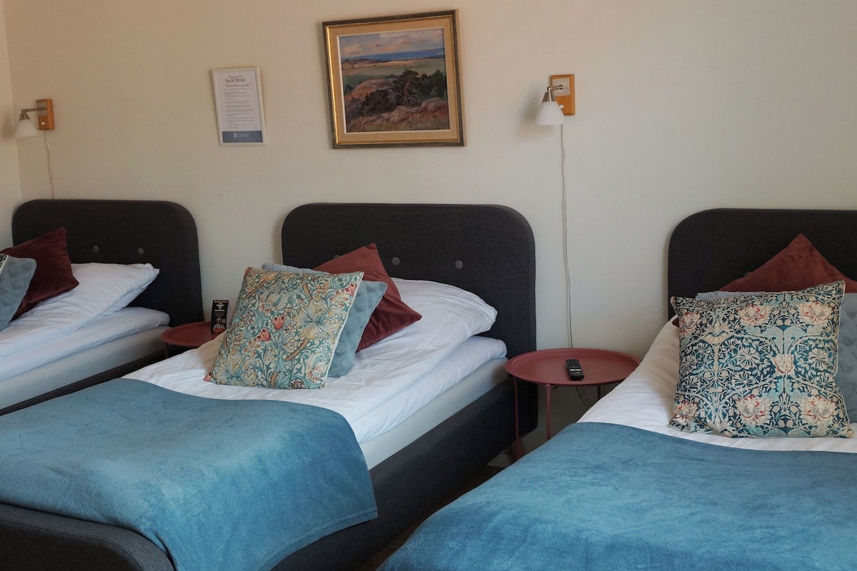 Basic Triple Room | Premium bedding, free WiFi, bed sheets