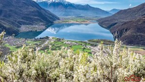 A mountainous landscape with a lake, a town in the valley, and blooming trees in the foreground. - Ca' Elsa Bed & Breakfast (Dubino)