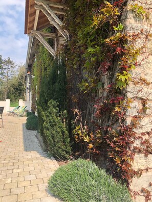 Overnattingsstedets uteområder