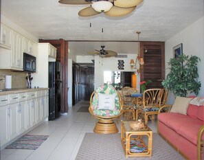 Smart TV, DVD player, books, video library
