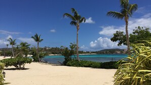 A beach with palm trees, a clear blue sky, and turquoise water. - Your Perfect Beachfront Condo in Paradise - Sapphire Beach (Smith Bay)