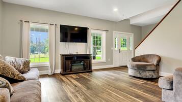 Télévision, cheminée, lecteur de DVD