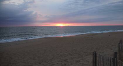 Oceanside, beach views, steps to beach, hot tub ,pool ,pet friendly