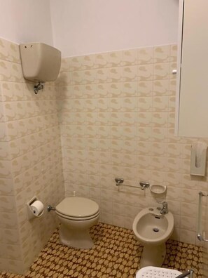 Shower, free toiletries, hair dryer, bidet