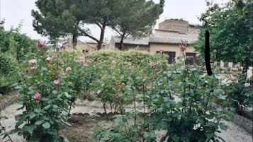 Khuôn viên nơi lưu trú