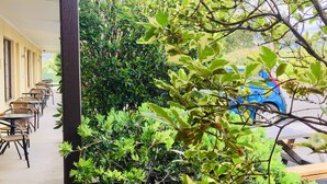 A covered outdoor seating area with tables and chairs, surrounded by dense greenery and a blue car in the background. - Colonial Motor Inn Pambula (Pambula)