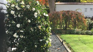 Unclassified image, 5 of 38, button - Karapiro Willows Luxury B & B (Karapiro)