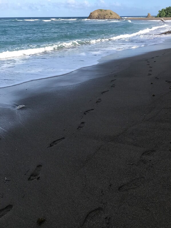 بالقرب من الشاطئ