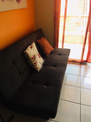 Smart TV, DVD player, video library, stereo